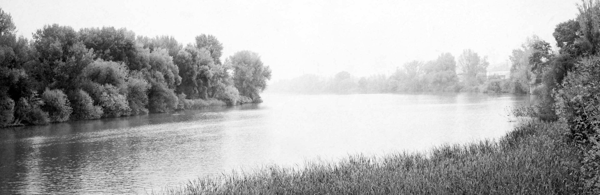 Flusslandschaft mit Gras im Vordergrund, ruhigem Wasser und Baumreihen am Ufer; nebliger Hintergrund.
